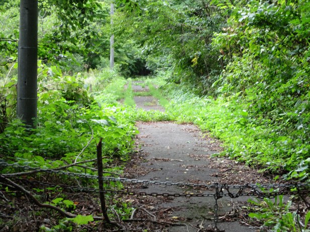 light trespassing.jpg