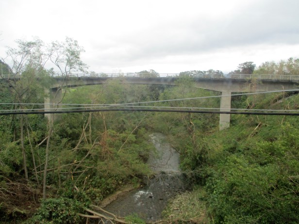 mori hakai suru deshta.jpg