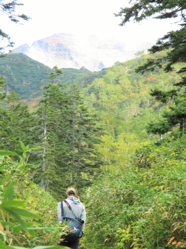 up the mountain 6.jpg